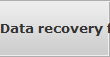 Data recovery for Alexandria data
