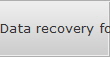 Data recovery for Alexandria data